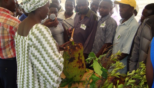 Plant Doctor Asitaluzi educates farmers at a symposium in Kisinga