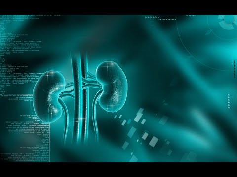 🔬 Renal Biomarker Market 2025, Unlocking Next-Gen Diagnostics &amp; Global Growth Trends!